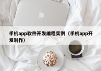 手机app软件开发编程实例（手机app开发制作）