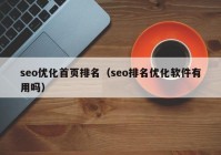 seo优化首页排名（seo排名优化软件有用吗）