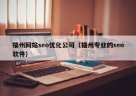 福州网站seo优化公司（福州专业的seo软件）
