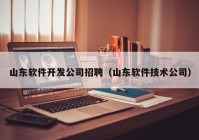 山东软件开发公司招聘（山东软件技术公司）